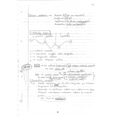 PATHOLOGY NOTES 